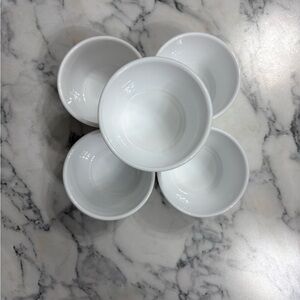 Vintage Arcopal Custard Bowl Set of 5, Tempered Opal Glass